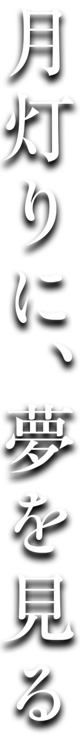 月灯りに、夢を見る