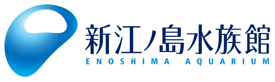 新江ノ島水族館