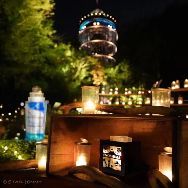 Thank you for visiting the official Instagram of Enoshima Samuel Cocking Garden. Tomorrow, the 4th (Monday, holiday) is the last day of Shonan Candle 2024. Every year, we are sad to see it go and look forward to next year, but we are planning to hold both the Shonan Candle and a live performance ♪ Please come and see the live performance along with the lighting of the last Shonan Candle of the year 🌱✨ …………………………………………………………………………… 🕯️Shonan Candle🕯️ [Dates] October 20th (Sunday) - November 4th (Monday, holiday) 2024 [Location] Enoshima Samuel Cocking Garden [Time] ○Weekdays 17:00-20:00 (last entrance 19:30) ●Saturdays, Sundays, and holidays 17:00-21:00 (last entrance 20:30) [Prices] 🌙Night admission fee Adults 500 yen, children 250 yen 🗼Rise to the top Adults 500 yen, Children 250 yen *The event will be cancelled in the event of rain or strong winds …………………………………………………………………………… We may repost or restory photos and videos posted by following and tagging you ♡ We look forward to seeing lots of Shonan Candle photos from you all 🙇✨ *The event will be cancelled in the event of rain or strong winds #EnoshimaSeaCandle #SamuelCockingGarden #ShonanCandle #shonan #fujisawa #enoshima #Fujisawa #ShonanStyle #Shonan #Enoshima #Japan #JapanTourism #JapanTrip #Travel #Enoden