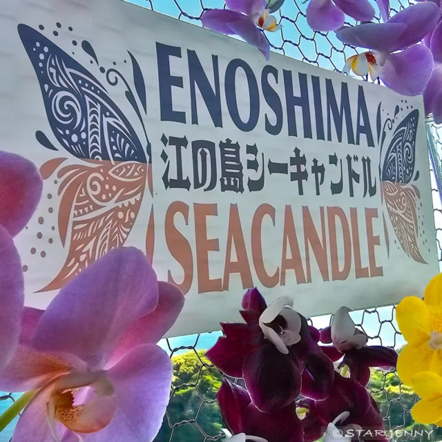 江の島サムエル・コッキング苑 
公式インスタグラムを
ご覧いただきありがとうございます♡

ただいま開催中のお花の祭典
🌹🌹🌹【春歓】🌹🌹🌹　

１０種類の胡蝶蘭が
江の島の空から湘南の海に羽ばたく蝶のイメージで
灯台展望室に制作されました
空に浮かぶ花に飾られフォトスポットになっています♪

この他にも
苑内のあちこちに　@helianthusgarden さんの
フラワーアレンジメント作品が
蝶が舞う可憐な空間として展示されていますので
ご堪能くださいませ♡

Flower Arrangement 
@helianthusgarden
チーム佐野さん

Designed&photos 
@star_jenny01

………………………………………………………………………………………………
春歓限定デザインの
ご来苑記念も
６月１日までの期間限定販売を
灯台下の公式ショップ
21daysSOUVENIR(S)ENOSHIMA にて好評販売中です🌹
@21days_souvenirs_enoshima

皆様のご来苑
心よりお待ちしております🙇

#江の島シーキャンドル
#shonan 
#fujisawa
#enoshima
#湘南スタイル
#湘南 
#江の島
#japan
#江の島アーティストフェスティバル