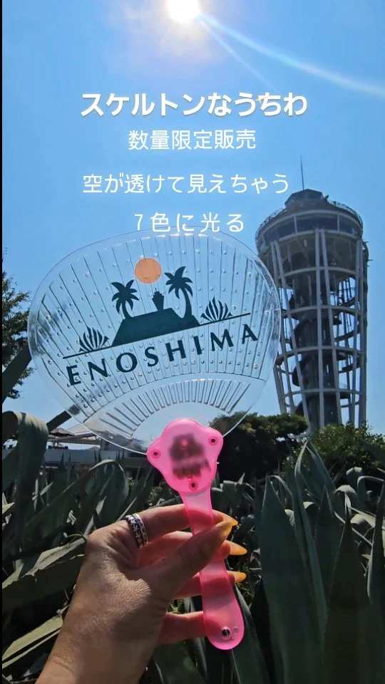 ​ここサムエルコッキング苑でしか
買えない超レアアイテム

スケルトンなうちわ✨

数量限定販売中です📢⚡⚡

取扱店
🗼Samuel cocking garden
 📍21daysSOUVENIR(S) ENOSHIMA 

江の島灯籠は本日最終日です🏮

Looking for a unique souvenir? We have a rare, skeleton-style paper fan available exclusively at Samuel Cocking Garden.
​These are a limited edition, so grab one while you can!
​Get yours at:
​Samuel Cocking Garden
​21daysSOUVENIR(S) ENOSHIMA
​P.S. Today is the last chance to see the Enoshima Lanterns!

Movie @star_jenny01 
ーーーーーーーーーーーーーーーーーーーーーーーーーー

🏮江の島灯籠2025🏮
■期間：～8/31(日)

■点灯スケジュール
18:00～20:30 まで点灯
（荒天中止）
※土日祝および
  8/12(火)～8/15(金)
18:00～21:00
（最終入場20:30）

■施設営業時間
・江の島サムエル・コッキング苑
　9:00～20:30 まで営業
　（荒天中止）
　※土日祝および
　8/12(火)～8/15(金)
　9:00～21:00
　（最終入場20:30）

・江の島シーキャンドル
　9:00～20:30 まで営業
　（荒天中止）
　※土日祝および
　8/12(火)～8/15(金)
　9:00～21:00
　（最終入場20:30）

・江の島岩屋：9:00～18:00（最終入場）

※天候などによりイベントの一部が変更または中止になる
場合がございます。
また各イベントの出演者等は予告なく変更する場合も
ございます。

​#江の島 
#江の島灯籠 
#江の島灯籠2025
#限定販売
#うちわ
#お土産
#提灯 
#夏の思い出 
#日本の夏 
#美しい景色