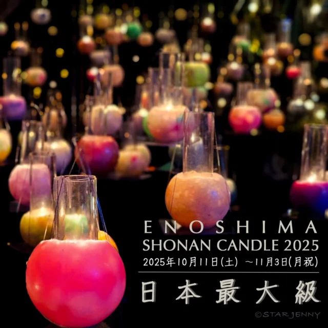 🕯️1万本のキャンドル🕯️
​息をのむ美しさ…✨
「湘南キャンドル2025」が
10月11日より江の島にて開催します。
​日本最大級の1万本のキャンドルの炎が、
江の島全体を幻想的な雰囲気へと変えます🕯️

​＼注目ポイント／

​今年は開催期間が約1週間延長！じっくり楽しめます🙌
​毎日、ひとつひとつ手作業で灯されるあたたかな炎に
癒される為にぜひ大切な人と、
この特別な空間を体験しに来てくださいね♡

​【📷写真投稿のお願い】
​皆さまの素敵なキャンドル写真や動画を、サムエルコッキング苑アカウントをタグ付けして投稿ください♪
​リポストやストーリーズで紹介させていただくことがありますので、たくさんの投稿をお待ちしております😊

ーーーーーーーーーーーーーーーーーーーーーーーーーー
🗓️開催日
10月11日（土）～11月3日（月祝）
⌚開催時間
17：00～20：00（最終入場19：30）
土日祝は21：00まで（最終入場20：30）
📍開催場所
江の島サムエル・コッキング苑／江の島シーキャンドル
／江島神社他

【料金】
🌙夜間入園料17時以降
大人500円小人250円
🗼昇搭料
大人800円小人400円

※雨天・強風の場合は中止となります

ーーーーーーーーーーーーーーーーーーーーーーーーーー

​🕯️ 10,000 Candles Light Up the Night 🕯️
​Prepare to be mesmerized...✨ The Shonan Candle 2025 event is starting on October 11th at Enoshima!
​With 10,000 candles, it's one of the largest candle events in Japan! The flames transform the entire island into a breathtakingly magical and romantic atmosphere .

​＼ Highlights to Note ／
​Extended Dates! This year, the event will run for about one week longer than usual, giving you extra time to enjoy it 🙌.
​ Each candle is lit by hand every day.
 Come be soothed by the warm, gentle flicker of the flames 😌.
​Bring your loved ones and experience this truly special, enchanting space!
​

#湘南キャンドル2025
#江の島シーキャンドル
#サムエルコッキング苑
#限定販売
#enoshima
#藤沢 
#湘南 
#江の島
#japan
#日本観光
#japantrip
#旅遊
#江ノ電