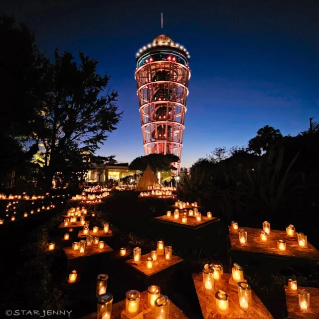 日本最大級1万本のキャンドルの炎が
幻想的な雰囲気を醸し出す
「湘南キャンドル2025」
　
それにあわせて
サムエル・コッキング苑では
すっかり人気で
見逃せない存在となった
【湘南キャンドル期間限定ご来苑記念】を販売中🕯️✨

販売は11月3日(月祝)までとなりますので
お見逃しなく🏃💦

📍21daysSOUVENIR ENOSHIMA 
 (江の島21daysSOUVENIR ENOSHIMA のみでの販売です)
@21days_souvenirs_enoshima

江の島ｻﾑｴﾙ・ｺｯｷﾝｸﾞ苑に遊びにきた
思い出をぜひお持ち帰りください🙇✨
…………………………………………………………………………………
フォロー&タグ付け投稿していただきました
お写真や動画をリポスト又はリストーリー
させて頂く事がございます♡
たくさんの皆さまの
湘南キャンドル写真を楽しみにお待ちします🙇✨
…………………………………………………………………………………

🗓️開催日
10月11日（土）～11月3日（月祝）
⌚開催時間
17：00～20：00（最終入場19：30）
土日祝は21：00まで（最終入場20：30）
📍開催場所
江の島サムエル・コッキング苑／江の島シーキャンドル
／江島神社他

【料金】
🌙夜間入園料17時以降
大人500円小人250円
🗼昇搭料
大人800円小人400円

※雨天・強風の場合は中止となります

Japan's largest scale, 10,000 candle flames create an enchanting atmosphere at "Shonan Candle 2025" ✨, which is currently being held!
​In conjunction with the event, the Samuel Cocking Garden is selling a highly popular and unmissable souvenir: the 【Shonan Candle Limited-Time Commemorative Item】! 🕯️
​Sales are only until Monday, November 3rd (public holiday), so don't miss out! 🏃💦
​📍 Available only at: 21daysSOUVENIR ENOSHIMA (within Enoshima Samuel Cocking Garden)
@21days_souvenirs_enoshima
​Be sure to take home a memory of your visit to Enoshima Samuel Cocking Garden! 🙇✨
…………………………………………………………………………………
We may repost or add to our stories the photos and videos that are posted with a follow and tag! ❤️
We look forward to seeing many of your Shonan Candle photos! 🙇✨
…………………………………………………………………………………
​🗓️ Event Dates: Saturday, October 11th - Monday, November 3rd (Public Holiday)
⌚ Time: 17:00 - 20:00 (Last entry 19:30)
*Until 21:00 on Saturdays, Sundays, and public holidays (Last entry 20:30)
📍 Location: Enoshima Samuel Cocking Garden / Enoshima Sea Candle / Enoshima Shrine, and others
​【Admission Fees】
🌙 Night Admission after 17:00
Adults: ¥500 / Children: ¥250
🗼 Observation Tower Fee (Sea Candle)
Adults: ¥800 / Children: ¥400
​*The event may be canceled in case of rain or strong winds.
#湘南キャンドル2025
#江の島シーキャンドル
#サムエルコッキング苑
#限定販売
#enoshima
#藤沢 
#湘南 
#江の島
#japan
#日本観光
#japantrip
#旅遊
#江ノ電