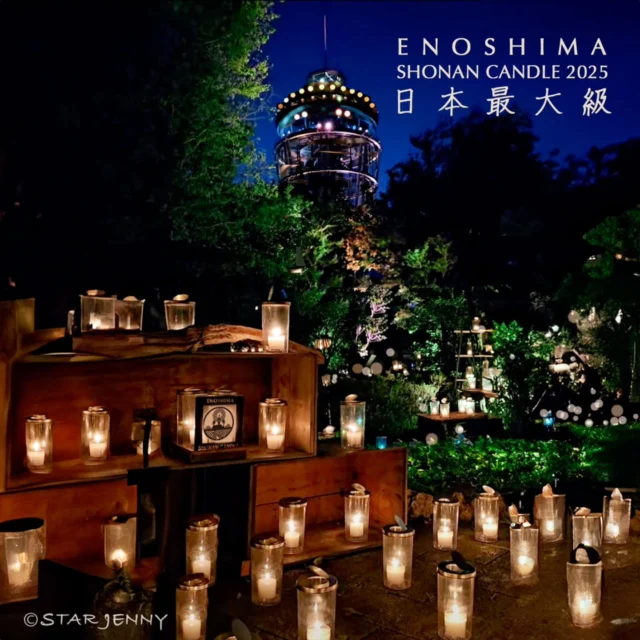 ✨🕯️【湘南キャンドル】🕯️✨

湘南キャンドルも
いよいよ
本日フィナーレとなりました

1万本の揺らめくともしびも

キャンドルホルダーに
お好きなイラストを描いて
湘南キャンドルと一緒に展示
できるレアな体験も、

日付を書き込んで
江の島に遊びにきた
思い出をお持ち帰りできる
湘南キャンドル限定記念も
湘南キャンドル最終日、
11月3日(月祝)までです🏃💦

📍21daysSOUVENIR ENOSHIMA 
 (江の島21daysSOUVENIR ENOSHIMA のみでの販売です)
@21days_souvenirs_enoshima

📍Location @samuel_cocking_garden
✒️Designed @star_jenny01
Production Support / Graphic:

​✨🕯️【Shonan Candle Festival】🕯️✨
​The Shonan Candle Festival is finally coming to its grand finale today!
​Don't miss out on:
​The mesmerizing glow of 10,000 flickering lights.
​A rare chance to draw your favorite illustration on a candle holder and have it displayed with the Shonan Candles.
​The limited-edition Shonan Candle souvenir where you can write the date and take home a memory of your visit to Enoshima.
​Today, November 3rd (Mon/Holiday), is the final day of the Shonan Candle Festival! Don't be late! 🏃💦

​📍Available exclusively at 21days SOUVENIR ENOSHIMA
@21days_souvenirs_enoshima
​📍Location: @samuel_cocking_garden
✒️Designed by @star_jenny01

🗓️開催日
10月11日（土）～11月3日（月祝）
⌚開催時間
17：00～20：00（最終入場19：30）
土日祝は21：00まで（最終入場20：30）
📍開催場所
江の島サムエル・コッキング苑／江の島シーキャンドル
／江島神社他

【料金】
🌙夜間入園料17時以降
大人500円小人250円
🗼昇搭料
大人800円小人400円

※雨天・強風の場合は中止となります

#湘南キャンドル
#湘南キャンドル2025
#江の島
#サムエルコッキング苑
#江の島シーキャンドル
#enoshima 
#starjenny 
#shonan 
#enoshima
#観光地
#湘南