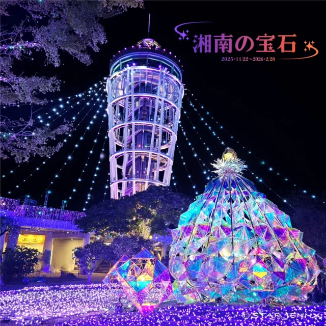 湘南の宝石2025-2026

江の島を彩る光と色の祭典
2025年11月22日（土）～2026年2月28日（土）

透明感あふれる宝石のような
イルミネーション💎✨

湘南の自然、夜景、光の融合による唯一無二の美景は
「インターナショナルイルミネーションアワード イルミネーションイベント部門 優秀ストーリー賞 第1位」を
はじめ、
「関東三大イルミネーション」や「日本夜景遺産」など
数多くの夜景ブランドタイトルを獲得しています👑

それにあわせて
サムエル・コッキング苑では
春の【春歓🌹】にはじまり、
夏の【江の島灯籠🏮】
秋の【湘南キャンドル🕯️】
そして
今年の締めとなる4大イベントめとなる、
冬の【湘南の宝石💎】期間限定
ご来苑記念を販売をいたします。

11月22日(土)より2026年2月28日(土)まで21daysSOUVENIR(S)ENOSHIMA にて
販売いたします！

ぜひ、冬の澄んだ世界の中で輝く宝石をご覧ください💎
＊写真は前回の湘南の宝石のものになります。
…………………………………………………………………………………
フォロー&タグ付け投稿していただきました
お写真や動画をリポスト又はリストーリー
させて頂く事がございます♡
たくさんの皆さまの
湘南キャンドル写真を楽しみにお待ちします🙇✨
…………………………………………………………………………………

📅会期
2025年11月22日（土）～2026年2月28日（土）
📍会場
江の島・片瀬海岸エリア一帯
夜間営業時間
【江の島サムエル・コッキング苑／
江の島シーキャンドル】
⌚平日・12/31～1/3　17:00〜20:00（最終入場19:30）
⌚土日祝・12/20～30　17:00〜21:00（最終入場20:30）
※1/10以降は点灯17:30～

☎️お問い合わせ
●江ノ島電鉄株式会社　
Tel：0466-25-3525
（平日9:00～17:00）
●藤沢市観光センター　
Tel：0466-22-4141
（8:30～17:00）
※天候などによりイベントの一部が変更または中止になる場合がございます。
主催：湘南藤沢活性化

#江の島シーキャンドル
#湘南の宝石
#湘南の宝石2025
#イルミネーション
#illumination
#shonan 
#fujisawa
#enoshima
#湘南スタイル
#湘南 
#江の島
#japan