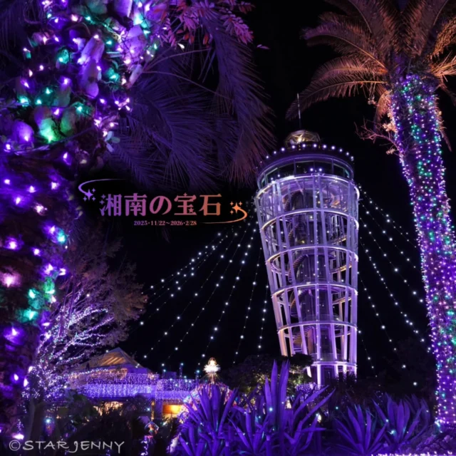 湘南の宝石2025-2026

江の島を彩る光と色の祭典
2025年11月22日（土）～2026年2月28日（土）

透明感あふれる宝石のような
イルミネーション。

湘南の自然、夜景、光の融合による唯一無二の美景は
「インターナショナルイルミネーションアワード 
イルミネーションイベント部門 優秀ストーリー賞 第1位」をはじめ、
「関東三大イルミネーション」や「日本夜景遺産」など
数多くの夜景ブランドタイトルを獲得しています👑

それにあわせて
サムエル・コッキング苑では
今年最後の4大イベント
【湘南の宝石】期間限定
ご来苑記念を販売をいたします。

11月22日より21daysSOUVENIR(S)ENOSHIMA にて
販売開始！

ぜひ、冬の澄んだ世界の中で輝く宝石をご覧ください💎

…………………………………………………………………………………
フォロー&タグ付け投稿していただきました
お写真や動画をリポスト又はリストーリー
させて頂く事がございます♡
たくさんの皆さまの
湘南キャンドル写真を楽しみにお待ちします🙇✨
…………………………………………………………………………………

📅会期
2025年11月22日（土）～2026年2月28日（土）
📍会場
江の島・片瀬海岸エリア一帯
夜間営業時間
【江の島サムエル・コッキング苑／江の島シーキャンドル】
⌚平日・12/31～1/3　17:00〜20:00（最終入場19:30）
⌚土日祝・12/20～30　17:00〜21:00（最終入場20:30）
※1/10以降は点灯17:30～

☎️お問い合わせ
●江ノ島電鉄株式会社　
Tel：0466-25-3525
（平日9:00～17:00）
●藤沢市観光センター　
Tel：0466-22-4141
（8:30～17:00）
※天候などによりイベントの一部が変更または中止になる場合がございます。
主催：湘南藤沢活性化

#江の島シーキャンドル
#湘南の宝石
#湘南の宝石2025
#イルミネーション
#illumination
#shonan 
#fujisawa
#enoshima
#湘南スタイル
#湘南 
#江の島
#japan