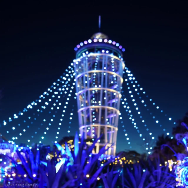 湘南の宝石2025-2026
開催中💎✨

江の島を彩る光と色の祭典
2025年11月22日（土）～2026年2月28日（土）

冬の澄んだ世界の中で輝く宝石をご覧ください💎

…………………………………………………………………………………
フォロー&タグ付け投稿していただきました
お写真や動画をリポスト又はリストーリー
させて頂く事がございます♡
たくさんの皆さまの
湘南キャンドル写真を楽しみにお待ちします🙇✨
…………………………………………………………………………………

📅会期
2025年11月22日（土）～2026年2月28日（土）
📍会場
江の島・片瀬海岸エリア一帯
夜間営業時間
【江の島サムエル・コッキング苑／江の島シーキャンドル】
⌚平日・12/31～1/3　17:00〜20:00（最終入場19:30）
⌚土日祝・12/20～30　17:00〜21:00（最終入場20:30）
※1/10以降は点灯17:30～

☎️お問い合わせ
●江ノ島電鉄株式会社　
Tel：0466-25-3525
（平日9:00～17:00）
●藤沢市観光センター　
Tel：0466-22-4141
（8:30～17:00）
※天候などによりイベントの一部が変更または中止になる場合がございます。
主催：湘南藤沢活性化

#江の島シーキャンドル
#湘南の宝石
#湘南の宝石2025
#イルミネーション
#illumination
#shonan 
#fujisawa
#enoshima
#湘南スタイル
#湘南 
#江の島
#japan