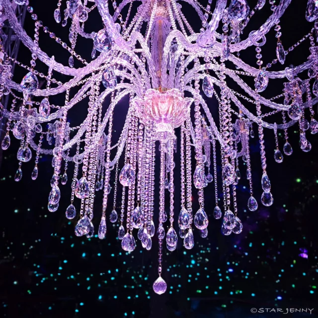 ​👑日本三大イルミネーションに昇格認定された
【湘南の宝石】好評開催中です。

今年はさらに
シャンデリアの数も増え
サイズもアップし
見ごたえたっぷりです💎✨

日本中から夜景のプロが選んだ「本物」の輝き、
​海と空、
そして江の島シーキャンドルの壮大な光の空間🗼✨
湘南の宝石です💎✨

そして今年も
日付を書き込んで
江の島に遊びにきた
思い出をお持ち帰りできる
★湘南の宝石限定記念★も
21daysSOUVENIR(S) ENOSHIMA のみで販売中です🫶
@21days_souvenirs_enoshima

…………………………………………………………………………………
フォロー&タグ付け投稿していただきました
お写真や動画をリポスト又はリストーリー
させて頂く事がございます♡
たくさんの皆さまの
湘南キャンドル写真を楽しみにお待ちします🙇✨
…………………………………………………………………………………

📅会期
2025年11月22日（土）～2026年2月28日（土）
📍会場
江の島・片瀬海岸エリア一帯
夜間営業時間
【江の島サムエル・コッキング苑／江の島シーキャンドル】
⌚平日・12/31～1/3　17:00〜20:00（最終入場19:30）
⌚土日祝・12/20～30　17:00〜21:00（最終入場20:30）
※1/10以降は点灯17:30～

☎️お問い合わせ
●江ノ島電鉄株式会社　
Tel：0466-25-3525
（平日9:00～17:00）
●藤沢市観光センター　
Tel：0466-22-4141
（8:30～17:00）
※天候などによりイベントの一部が変更または中止になる場合がございます。
主催：湘南藤沢活性化

#江の島シーキャンドル
#日本三大イルミネーション認定
#湘南の宝石2025
#illumination
#速報
#enoshima
#湘南 
#江の島
#japan