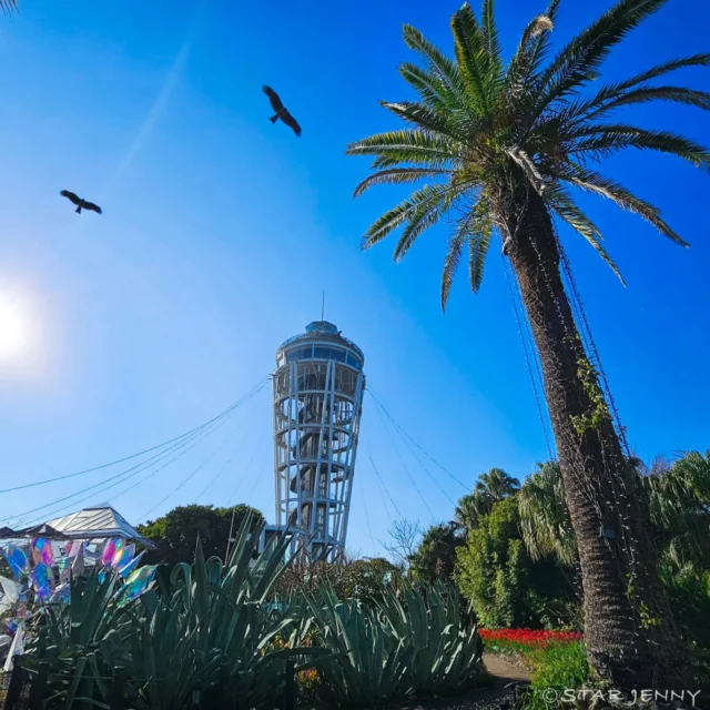 日中は3万本の
ウィンターチューリップが苑内を彩り
夜になると日本三大イルミネーションに認定された
【湘南の宝石】がキラキラ開催中です💎

皆様のご来苑
心よりお待ちしております🫶

…………………………………………………………………………………………

🎙️　フォロー&タグ付け投稿していただきました
お写真や動画をリポスト又はリストーリーさせて
頂く事がございます🙇✨
たくさんの投稿お待ちしております🫶

…………………………………………………………………………………………
【湘南の宝石2025-2026】

📆　期　　間
2025年11月22日（土）～2026年2月28日（土）
📍会場
江の島・片瀬海岸エリア一帯
夜間営業時間
【江の島サムエル・コッキング苑／江の島シーキャンドル】
⌚平日・12/31～1/3　17:00〜20:00（最終入場19:30）
⌚土日祝・12/20～30　17:00〜21:00（最終入場20:30）
※1/10以降は点灯17:30～

☎️お問い合わせ
●江ノ島電鉄株式会社　
Tel：0466-25-3525
（平日9:00～17:00）
●藤沢市観光センター　
Tel：0466-22-4141
（8:30～17:00）
※天候などによりイベントの一部が変更または中止になる場合がございます。
主催：湘南藤沢活性化

#江の島シーキャンドル
#湘南の宝石
#湘南の宝石2025
#イルミネーション
#アイスチューリップ