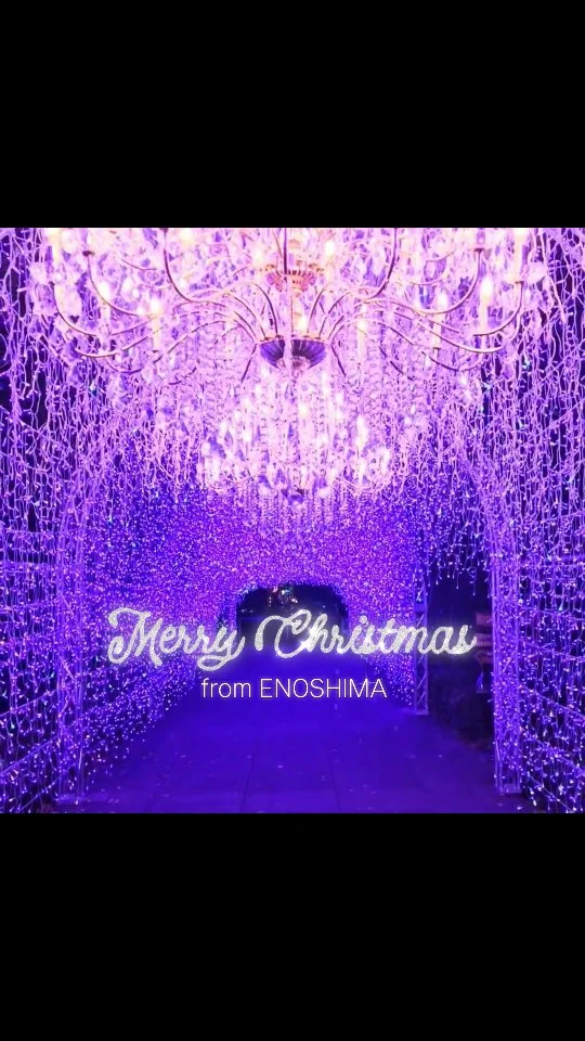 ✨🎄Merry Christmas🎄✨

【湘南の宝石】がキラキラ
開催中です💎✨

雨で濡れた地面に反射する
イルミネーションの光が
さらにキラキラしているように
感じれるいつもと違う雨の日限定の景色。

素敵な夜をお過ごしくださいませ　🛷➰💨

皆様のご来苑
心よりお待ちしております🫶

…………………………………………………………………………………………

🎙️　フォロー&タグ付け投稿していただきました
お写真や動画をリポスト又はリストーリーさせて
頂く事がございます🙇✨
たくさんの投稿お待ちしております🫶

…………………………………………………………………………………………
【湘南の宝石2025-2026】

📆　期　　間
2025年11月22日（土）～2026年2月28日（土）
📍会場
江の島・片瀬海岸エリア一帯
夜間営業時間
【江の島サムエル・コッキング苑／江の島シーキャンドル】
⌚平日・12/31～1/3　17:00〜20:00（最終入場19:30）
⌚土日祝・12/20～30　17:00〜21:00（最終入場20:30）
※1/10以降は点灯17:30～

☎️お問い合わせ
●江ノ島電鉄株式会社　
Tel：0466-25-3525
（平日9:00～17:00）
●藤沢市観光センター　
Tel：0466-22-4141
（8:30～17:00）
※天候などによりイベントの一部が変更または中止になる場合がございます。
主催：湘南藤沢活性化

#日本３大イルミネーション
#デート
#湘南の宝石2025
#クリスマス
#illumination