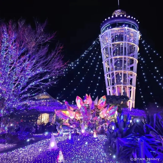 光と花に包まれる、一年の締めくくりとなる​2025年、
最後の一日となりました。

今年もたくさんの笑顔と、SNSを通じた素敵な出会いに
心から感謝申し上げます。

​おかげさまで、当苑のイルミネーションが
「日本三大イルミネーション👑」に認定された
記念すべき1年となりました✨

苑内は
夜の寒さの中に咲くアイスチューリップたちも、
今まさに美しく色づき、皆様をお出迎えしています🌷

​一年の締めくくりに、
そして新しい一年の始まりに、
江の島の頂上で、大切な方と特別な時間を
過ごしませんか？

そして今年も
日付を書き込んで
江の島に遊びにきた
思い出をお持ち帰りできる

★★お正月限定ご来苑記念カード★★

も21daysSOUVENIR(S) ENOSHIMA のみで
元旦より販売スタートいたします🫶✨

​来年も皆様にとって、
光あふれる素晴らしい一年になりますように。
良いお年をお迎えください✨🗼

年末年始の営業スケジュールを
下記の通りご案内いたします。

￣￣￣￣￣￣￣￣￣￣￣￣￣￣￣￣￣￣￣￣￣￣￣￣￣

江の島サムエル・コッキング苑/江の島シーキャンドル

12月31日 （水） 9:00 ～ 20:00 通常
1月1日 （木・祝） 8:00 ～ 20:00 特別営業（早朝）
1月2日 （金） 9:00 ～ 20:00 通常
1月3日 （土） 9:00 ～ 20:00 通常
1月4日 （日） 9:00 ～ 21:00 延長
1月5日 （月） 9:00 ～ 20:00 通常
※　最終入苑30分前

TODAI KITCHEN DELI＆TEA
12月31日 （水） 10:00 ～ 20:00 通常
1月1日 （木・祝） 10:00 ～ 20:00 通常
1月2日 （金） 10:00 ～ 20:00 通常
1月3日 （土） 10:00 ～ 20:00 通常
1月4日 （日） 10:00 ～ 21:00 延長
1月5日 （月） 10:00 ～ 20:00 通常
※　ラストオーダーは閉店60分前

UMIYAMA DO
12月31日 （水） 11:00 ～ 20:00 通常
1月1日 （木・祝） 11:00 ～ 20:00 通常
1月2日 （金） 11:00 ～ 20:00 通常
1月3日 （土） 11:00 ～ 20:00 通常
1月4日 （日） 11:00 ～ 21:00 延長
1月5日 （月） 11:00 ～ 20:00 通常
※　ラストオーダーは閉店60分前

キッチンカー
12月31日 （水） 12:00 ～ 19:00 通常
1月1日 （木・祝） 12:00 ～ 19:00 通常
1月2日 （金） 12:00 ～ 19:00 通常
1月3日 （土） 12:00 ～ 19:00 通常
1月4日 （日） 12:00 ～ 20:00 延長
1月5日 （月） 12:00 ～ 19:00 通常

ゆうひ茶屋
12月31日 （水） 10:00 ～ 18:00 通常
1月1日 （木・祝） 10:00 ～ 18:00 通常
1月2日 （金） 10:00 ～ 18:00 通常
1月3日 （土） 10:00 ～ 18:00 通常
1月4日 （日） 10:00 ～ 19:00 延長
1月5日 （月） 10:00 ～ 18:00 通常

21days
12月31日 （水） 10:00 ～ 19:30 通常
1月1日 （木・祝） 10:00 ～ 19:30 通常
1月2日 （金） 10:00 ～ 19:30 通常
1月3日 （土） 10:00 ～ 19:30 通常
1月4日 （日） 10:00 ～ 20:30 延長
1月5日 （月） 10:00 ～ 19:30