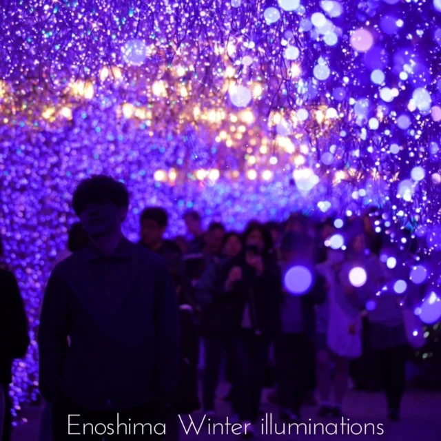 47都道府県の頂点,
日本三大イルミネーションに昇格認定された
【湘南の宝石】好評開催中です👑

…………………………………………………………………………………
フォロー&タグ付け投稿していただきました
お写真や動画をリポスト又はリストーリー
させて頂く事がございます♡
たくさんの皆さまの
湘南キャンドル写真を楽しみにお待ちします🙇✨
…………………………………………………………………………………

📅会期
2026年2月28日（土）迄
📍会場
江の島・片瀬海岸エリア一帯
夜間営業時間
【江の島サムエル・コッキング苑／江の島シーキャンドル】
⌚
17:00〜20:00（最終入場19:30）

✴️17時３０分点灯となります

☎️お問い合わせ
●江ノ島電鉄株式会社　
Tel：0466-25-3525
（平日9:00～17:00）
●藤沢市観光センター　
Tel：0466-22-4141
（8:30～17:00）
※天候などによりイベントの一部が変更または中止になる場合がございます。
主催：湘南藤沢活性化

#江の島シーキャンドル
#日本三大イルミネーション認定
#湘南の宝石2026