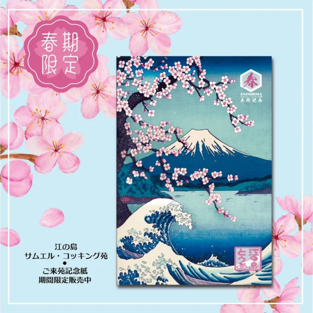 江の島サムエル・コッキング苑では、
現在「春限定のご来苑記念紙」を販売中です🌸

​力強い波と富士山、
そして今しか見られない鮮やかな桜が彩る
浮世絵のような美しいデザインにしあがっています✨

江の島を訪れた証として、
また大切な方への旅のお土産にもぴったりです。

​春風に吹かれながら、
特別な一枚を手にしてみませんか？

📍@21days_souvenirs_enoshima

​#江の島 
#サムエルコッキング苑 
#ご来苑記念紙 
#春限定 
#江の島観光