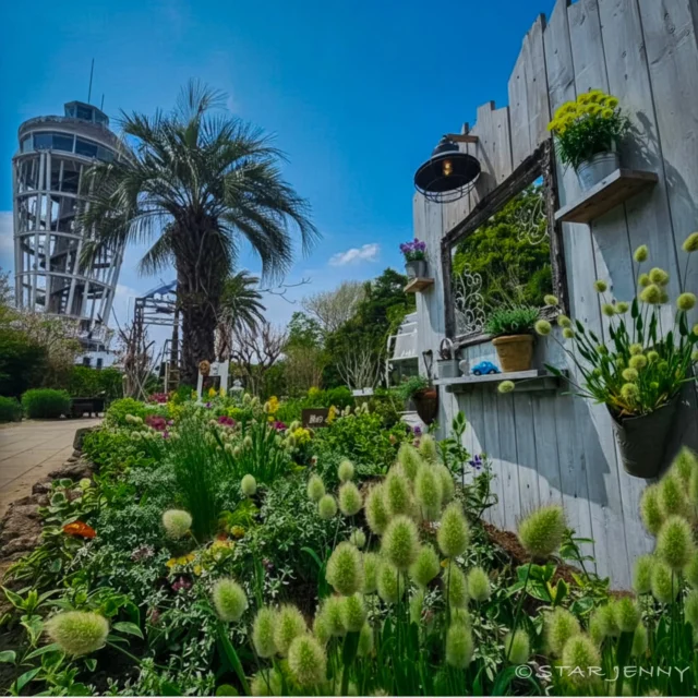 ​🌴 江の島アートフェスティバル 2026 🌴 
〜花と、アートと、サンセット。〜

​江の島の頂上、空と海が溶け合う
「サムエル・コッキング苑」から。

本日、
最高に気持ちいい初夏日和とともに開幕しました🌸

​見どころは、
シーキャンドルへと続く道「風のガーデン」。

彩り豊かなプランツたちが、
まるで風と踊るように皆さまを会場へと誘います。

​現代アートと色鮮やかな花々が共演する、
この時期だけの特別な景色。

夕暮れ時には、さらに魔法のような時間が訪れるはず……。

​フォトジェニックな展示に加え、
限定クリアカードの販売や
📍 @21days_souvenirs_enoshima
UMIYAMA GALLERYでの
イベントなど、ワクワクが止まらない仕掛けを
たっぷりご用意してお待ちしています✨

​📅 開催期間
2026年4月11日（土）〜6月7日（日）
※ 5月7日(木)・8日(金)は展示入替のためお休み

​📍 会場
江の島島内 / 江の島サムエル・コッキング苑 / UMIYAMA GALLERY / 周辺エリア

​🤝 主催
湘南藤沢活性化コンソーシアム

​#江の島アートフェスティバル 
#江の島 #サムエルコッキング苑 
#湘南イベント 
#春のお出かけ
