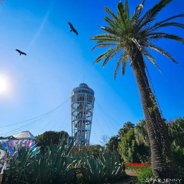 🌴「江の島アートフェスティバル」🌴開催中！

GWも後半ですが
江の島は元気なエネルギーと
太陽の日差しとイベントでいっぱいです♡

ゴールデンウィークは
ぜひ江の島でお楽しみください✨

​📅 開催期間
2026年4月11日（土）〜6月7日（日）
※ 5月7日(木)・8日(金)は展示入替のためお休み

​📍 会場
江の島島内 / 江の島サムエル・コッキング苑 / UMIYAMA GALLERY / 周辺エリア

​#江の島
#江の島アートフェスティバル 
#湘南観光 
#江の島サムエルコッキング苑
#ゴールデンウィーク