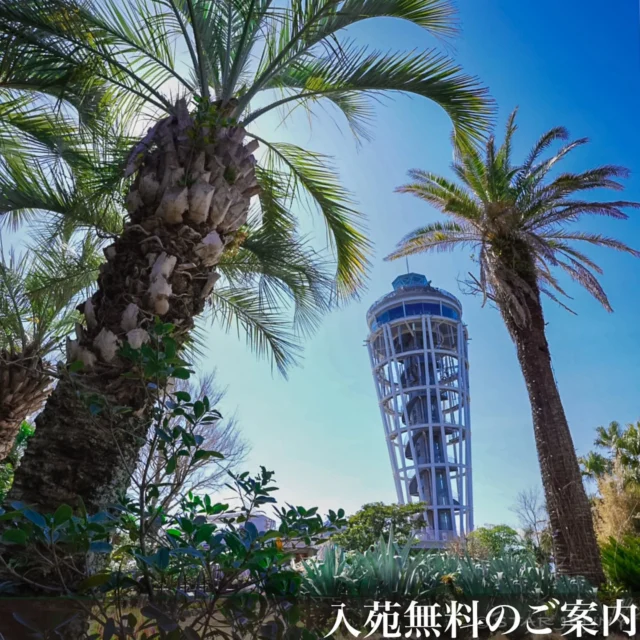 🌴お知らせ🌴

本日のナイトイベント中止に伴う終日無料開放について

本日、
江の島アートフェスティバル開催に伴う
江の島サムエル・コッキング苑で
17時より開催を予定しておりましたナイトイベントは
機材故障のため中止とさせていただきます。
ご来苑を楽しみにされていた皆さまには
ご迷惑をおかけし誠に申し訳ございません🙇

なお、
本日は終日
苑内を無料でご利用いただけます。
どうぞごゆっくりお過ごしください。

🌴江の島アートフェスティバル🌴
​📅 開催期間
2026年4月11日（土）〜6月7日（日）

​📍 会場
江の島島内 / 江の島サムエル・コッキング苑 / UMIYAMA GALLERY / 周辺エリア

​#江の島アートフェスティバル 
#江の島 　
#サムエルコッキング苑