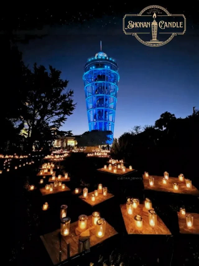 ​【3日間限定】
江の島が青く染まる夜
青ブタ×湘南キャンドル🕯️💙　

​劇場アニメ『青春ブタ野郎はディアフレンドの夢を見ない』10月16日(金)公開を記念して、江の島シーキャンドルが【3日間限定】で特別に青ブタカラーへライトアップされます！ 
​湘南キャンドルの1,0000本があたたかく揺らめく灯りと、夜空にすっと伸びる幻想的な青い光のコントラスト——。
─────────────────────────
​🍹 【TODAI KITCHEN DELI&TEA 限定】
＼推しカラーで味わう♡ 推し色 CREAM SODA／
──────────────​───────────
苑内のカフェ「TODAI KITCHEN DELI&TEA」では
4色（ブルー・緑・赤・オレンジ）から選べる
「 CREAM SODA」を販売中！ 
​さらに！ドリンクを1点ご注文ごとに
【青ブタ限定コラボコースター】を1枚プレゼント🎁✨

キャンドルの光と一緒に写真を撮るのもおすすめ♡
フォトジェニックな1杯をぜひ片手に、夜の苑内散歩をお楽しみください♪
────────────────────────
​📍 江の島シーキャンドル 青ブタライトアップ
🗓️2026年10月16日（金）〜10月18日（日）日没〜22:00
📍江の島シーキャンドル
📍【コラボソーダ販売】江の島サムエル・コッキング苑内「TODAI KITCHEN　DELI&TEA」
────────────────────────
今年も皆様のたくさんのタグ付け投稿で
当アカウントとイベントを盛り上げていただけたら
嬉しいです♪
いただきましたタグ付け投稿及びリールはストーリーにてご紹介させていただくことがございます✨
────────────────────────
🕯️SHONAN CANDLE 2026🕯️
【期間】2026年10月10日（土）〜11月3日（火・祝）
【点灯時間】17:00〜20:00（最終入場 19:30）※土日祝は20:30（最終入場 20:00）
【会場】江の島サムエル・コッキング苑 / 江の島シーキャンドル ほか

​#湘南キャンドル2026
#湘南キャンドル 
#江の島 
#江の島デート 
#青ブタ

​※演出上、一部加工・誇張して表現しています